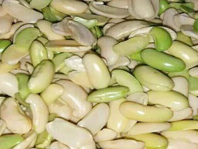 باقلا قاتوق